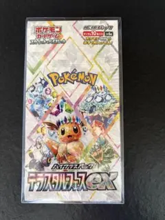 2026年最新】テラスタルフェスex BOX 10の人気アイテム - メルカリ