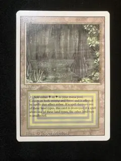 2026年最新】デュアルランドの人気アイテム - メルカリ