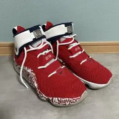 2026年最新】レブロン 17 グラフィティの人気アイテム - メルカリ