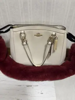 2026年最新】coAcH バッグ ファーの人気アイテム - メルカリ