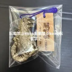 2026年最新】東宝怪獣根付 ゴジラ の人気アイテム - メルカリ