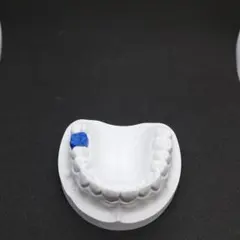 2026年最新】顎模型 ニッシンの人気アイテム - メルカリ