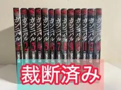 2026年最新】ガンニバル 全巻 セットの人気アイテム - メルカリ