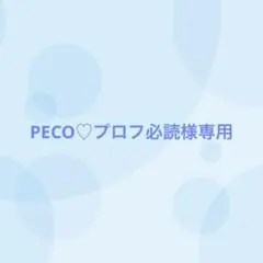 2026年最新】プロフ必読の人気アイテム - メルカリ