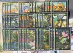 2026年最新】キャベッジ 緑単の人気アイテム - メルカリ