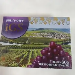 2026年最新】瞬芽ブドウ種子iGSの人気アイテム - メルカリ