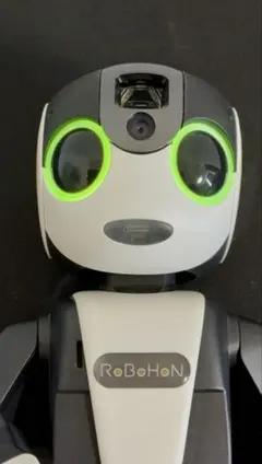 2026年最新】RoBoHoNの人気アイテム - メルカリ