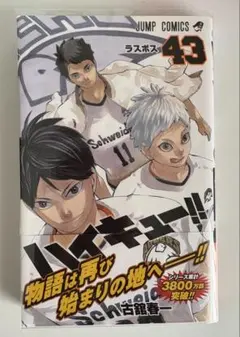 2026年最新】ハイキュー 漫画 33〜45の人気アイテム - メルカリ