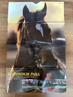 2026年最新】ステイゴールド ポスターの人気アイテム - メルカリ