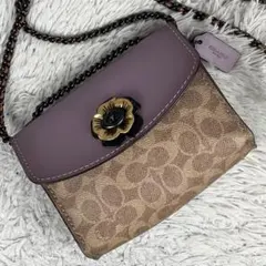 2026年最新】coach ティーローズの人気アイテム - メルカリ