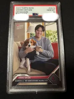 2026年最新】大谷翔平 デコピン psa10の人気アイテム - メルカリ