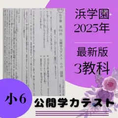 2026年最新】浜学園 小6 最高レベル特訓 算数の人気アイテム - メルカリ