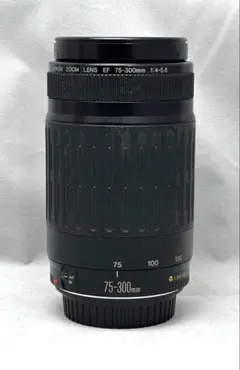 2026年最新】Canon LENS EF 75-300mm 1:4-5.6の人気アイテム - メルカリ