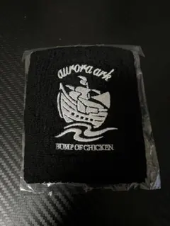 2026年最新】bump of chicken aurora arkの人気アイテム - メルカリ