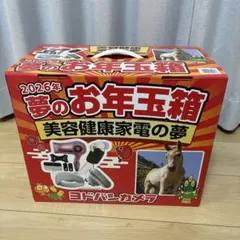 2026年最新】夢のお年玉箱の人気アイテム - メルカリ