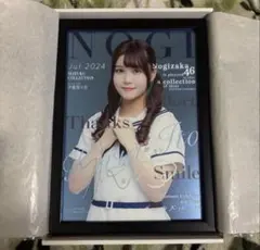 2026年最新】乃木フェス パブミラーの人気アイテム - メルカリ