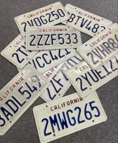 2026年最新】カリフォルニア ナンバープレートの人気アイテム - メルカリ