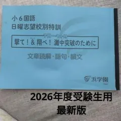 2026年最新】浜学園 撃ての人気アイテム - メルカリ