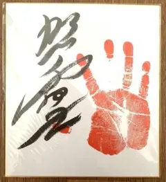 2026年最新】照ノ富士 サイン色紙の人気アイテム - メルカリ