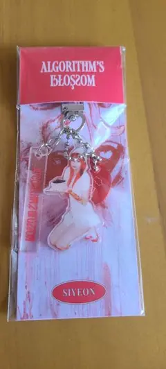 2026年最新】QWER ポップアップの人気アイテム - メルカリ