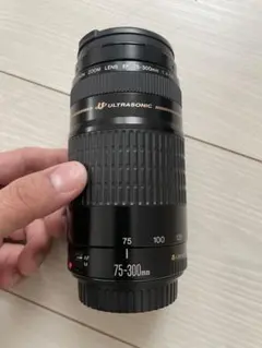 2026年最新】超望遠レンズ canonの人気アイテム - メルカリ