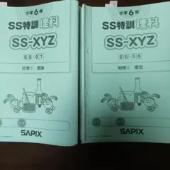 2026年最新】SS特訓の人気アイテム - メルカリ