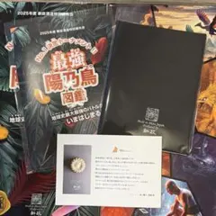 2026年最新】新政 ノベルティの人気アイテム - メルカリ