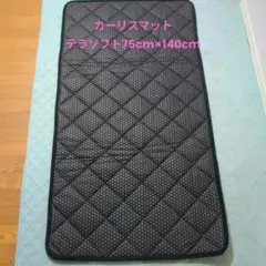 2026年最新】カーリスマットテラソフトの人気アイテム - メルカリ