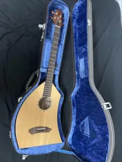 2026年最新】ヤイリギター 一五一会の人気アイテム - メルカリ