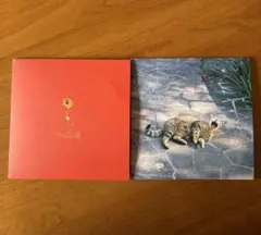 2026年最新】the奥歯's 風になれたらの人気アイテム - メルカリ