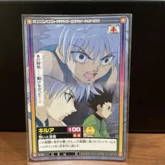 2026年最新】hunter × hunter カードダスの人気アイテム - メルカリ