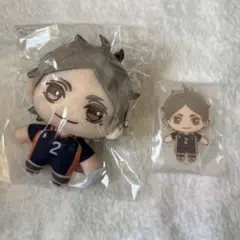 2026年最新】ハイキュー菅原 缶バッジの人気アイテム - メルカリ