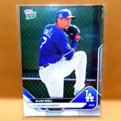 2026年最新】ブレイク・スネルの人気アイテム - メルカリ