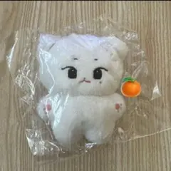 2026年最新】スングァン ぬいぐるみの人気アイテム - メルカリ