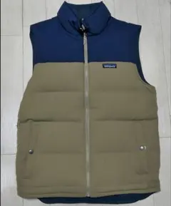 2026年最新】patagonia パタゴニア ビビーダウンベストの人気アイテム