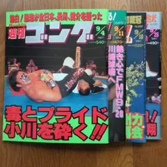 2026年最新】新日本プロレスゴングの人気アイテム - メルカリ