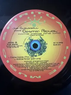 2026年最新】joe claussellの人気アイテム - メルカリ