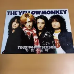 2026年最新】the yellow monkey フライヤーの人気アイテム - メルカリ