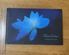 2026年最新】ブルーロータスの人気アイテム - メルカリ