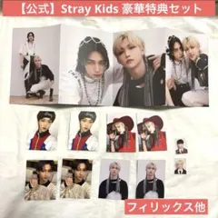 2026年最新】スキズ トレカ noeasyの人気アイテム - メルカリ