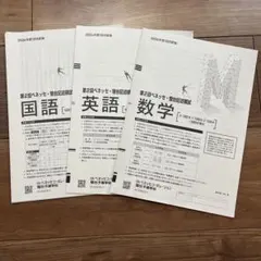 2026年最新】駿台ベネッセ記述模試の人気アイテム - メルカリ