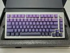 2026年最新】Monsgeek m1 heの人気アイテム - メルカリ