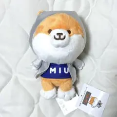 2026年最新】ポリまる ぬいぐるみの人気アイテム - メルカリ