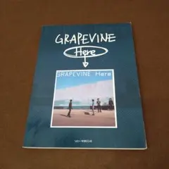 2026年最新】バンドスコア グレイプバインの人気アイテム - メルカリ