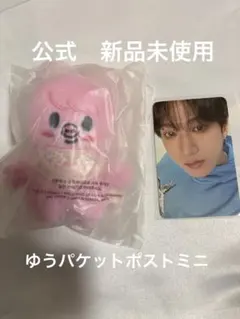 2026年最新】SKZOO ぬいぐるみ チャンビンの人気アイテム - メルカリ