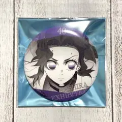 2026年最新】胡蝶しのぶ エモーショナル缶バッジの人気アイテム - メルカリ