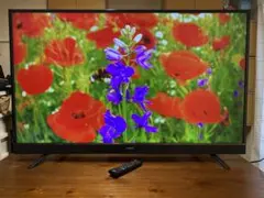 2026年最新】maxzen 55インチの人気アイテム - メルカリ