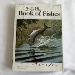 2026年最新】サカナクション 魚大図鑑の人気アイテム - メルカリ