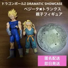 2026年最新】ドラマチック トランクスの人気アイテム - メルカリ
