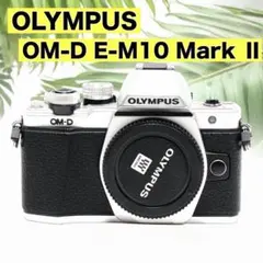 2026年最新】オリンパスom-d e-m10 mark iiの人気アイテム - メルカリ